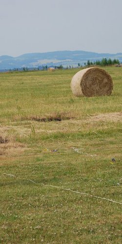 2014 Suche Karel Jerabek